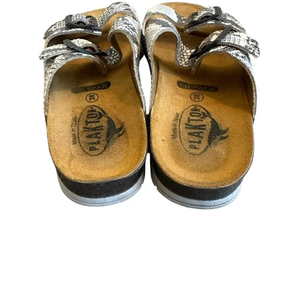 Plakton size 38